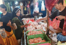 Harga Ayam Potong di Baturaja Berangsur Normal