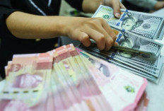 UPDATE ! Kurs Rupiah Jumat 2 Agustus 2024 : Tergerus 38 Poin Jadi Rp16.275 per Dolar AS