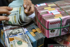 Update ! Kurs Rupiah 7 Oktober 2024 : Anjlok 155 Poin Menjadi Rp15.485 per Dolar AS 