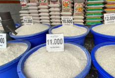 Strategi Menghadpi Jebakan Harga Beras