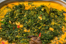Resep Gulai Daun Singkong yang Gurih dan Lezat, Cocok untuk Menu Keluarga