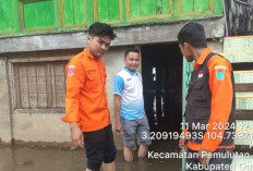 BPBD Sumsel Catat Sebanyak 353 Rumah di Ogan Ilir Terendam Banjir