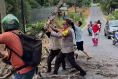 Wakapolres Prabumulih  Turun Tangan Atasi Pohon Tumbang di Jalan Gunung Ibul