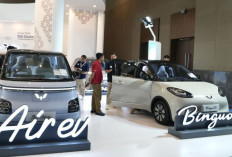 Wuling Klarifikasi Petisi Konsumen Soal Binguo EV Turun Rp180 Juta: Ini Penjelasannya !
