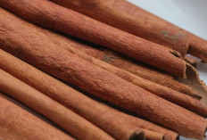 Kayu Manis : Rempah Manis Serbaguna yang Kaya Manfaat