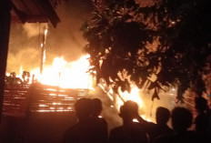 Niat Usir Nyamuk, Rumah Ludes Terbakar