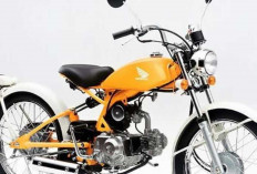 Dari Murah ke Mahal! Kisah Honda Solo yang Kini Tembus Puluhan Juta