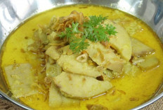 Nikmat dan Kaya Gizi Gulai Umbut Kelapa Jadi Hidangan Tradisional yang Mulai Dilirik Kembali