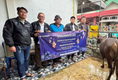 Rayakan Idul Adha 1446 H, XLSMART Salurkan 112 Ekor Hewan Kurban ke Berbagai Wilayah