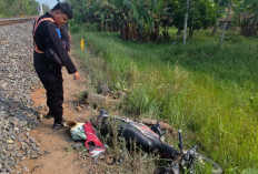 Motor Tertabrak KA Babaranjang di Perlintasan Tanpa Palang di OKU Timur, Pengendara Tewas