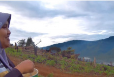 Bukit Reban Kucing : Pesona Negeri di Atas Awan dari Empat Lawang yang Mulai Mendunia !