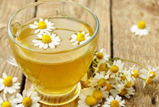 Kurangi Stres dan Kecemasan dengan Teh Chamomile