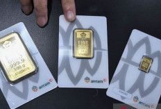 Harga Emas Antam 4 Februari 2025 :  Melonjak Rp29.000 Menjadi Rp1,650 Juta per Gram! 