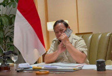 Prabowo Terima Telepon Trump 