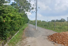 Wow!  Tiang Listrik di Ogan Ilir  Ditanam Tepat di Tengah Jalan, PLN Beri Penjelassan ini