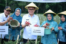 Program Pro Rakyat Pj Bupati Banyuasin Hani Syopiar Rustam : Pelayanan Publik Mudah Diakses  