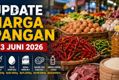 Update Harga Pangan 13 Juni 2026: Cabai Rawit Merah Tembus Rp74.550, Telur Ayam Ras Rp30.100 per Kilogram