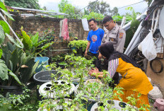 Gencar Sosialisasikan Ketahanan Pangan 