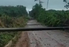 Empat Tiang Listrik di Pedamaran Timur Roboh Disebabkan Hujan Deras dan Angin Kencang