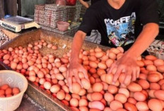 Harga Pangan 20 Februari 2024 : Telur Ayam Rp30.000/Kg, Bawang Merah Rp35.850/Kg !