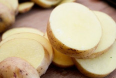 Obati Luka Lambung dan Asam Lambung dengan Jus Kentang Mentah