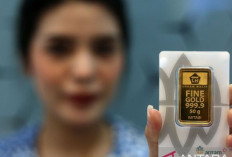 Update ! Harga Emas Antam 8 Oktober 2024 : Naik Rp3.000 Menjadi Rp1,481 Juta per Gram