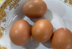 Telur Rebus Si Kecil Kaya Nutrisi yang Wajib Masuk Menu Harian