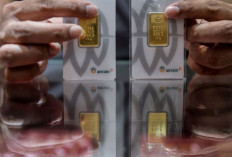 Harga Emas Antam 14 April 2025 : Turun Rp8.000 Menjadi Rp1,896 Juta per Gram !  