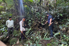 Mayat Perempuan Ditemukan Tergeletak di Tepi Sungai Kecamatan Pulau Beringin OKU Selatan