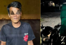 Curi 43 Kelapa Muda : Pria Asal Tanjung Sejaro Terancam Pidana 7 Tahun !