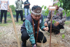 Pj. Gubernur Sumsel Ajak Lestarikan Tanaman Gaharu Sebagai Ikon Baru Sumsel