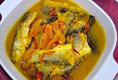 Ikan Belanak Kuah Kuning : Kuliner Khas yang Menggugah Selera