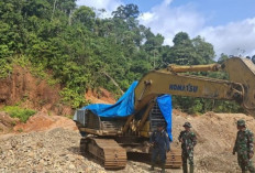 Penegakan Hukum Lingkungan Diperkuat sebagai Upaya Cegah Bencana Hidrometeorologi