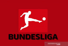  Klasemen Akhir : Kedigdayaan Bayer Leverkusen di Liga Jerman 2023/2024
