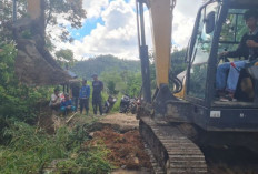 Jalan Penghubung Kabupaten OKU Selatan - Bengkulu Sudah Bisa Dilalui Kendaraan