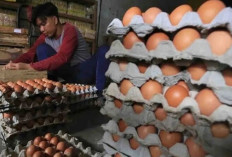 Harga Pangan 13 April 2025 : Telur Ayam Ras Rp28.692, Cabai Rawit Naik Menjadi Rp84.751 per Kilogram !