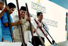 Pelajaran Penting dari Swasembada Beras 2025