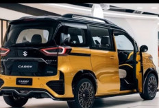 Bersaing di Segmen MPV: Ini Keunggulan dan Kekurangan Suzuki Carry Minivan 2025 !