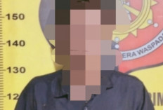 Dua Bulan Buron, Pelaku  Pencurian TBS Dibekuk 