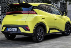 Teaser Muncul, BYD Dolphin Surf Picu Antusiasme Pasar EV Indonesia