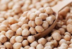 Kacang Arab : Manfaat Kandungan Gizi dan Popularitas di Indonesia