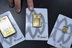 Harga Emas Antam Kamis 13 Februari 2025 : Naik Rp8.000 Menjadi Rp1,692 Juta per Gram !