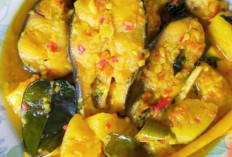 Ikan Patin Palembang, Kekayaan Sungai Musi yang Menjadi Ikon Kuliner Sumatera Selatan