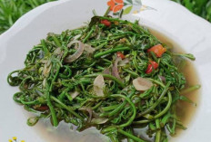 Tumis Daun Pakis : Sajian Tradisional Lezat dengan Segudang Manfaat Kesehatan