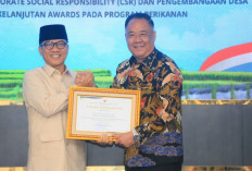 Sumsel Raih Penghargaan CSR Nasional, Herman Deru dan Cik Ujang Diapresiasi Kemendes PDT