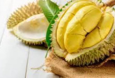 Durian Dapat Meningkatkan Mood dan Kualitas Tidur