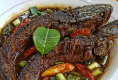 Gabus Pucung : Kuliner Khas Betawi dengan Rasa yang Menggugah Selera