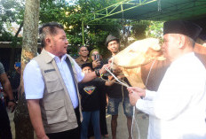Herman Deru Serahkan Sapi Kurban Presiden Prabowo untuk Masyarakat Sumsel di Masjid Taqwa Palembang