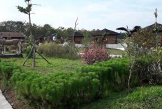 Taman Toga Mangun Jaya Kian Bersinar, Destinasi Wisata Edukasi dan Rekreasi Keluarga Favorit di Musi Banyuasin