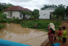 Sungai Enim Meluap, Warga Ramai-Ramai Tangkul Ikan